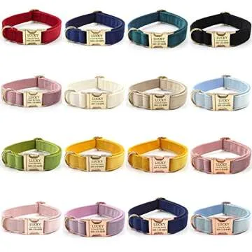 PETDURO Custom Dog Collar with Name Engraved and Quick Release Metal Buckle for All Dog Sizes