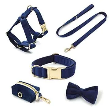 Personalized PETDURO Dog Collar with Engraved Buckle