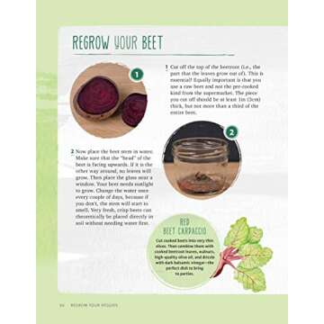 Regrow Your Veggies: Growing Vegetables from Roots, Cuttings, and Scraps (CompanionHouse Books) Sustainable Tips, Troubleshooting, & Directions for Lettuce, Potatoes, Ginger, Scallions, Mango, & More