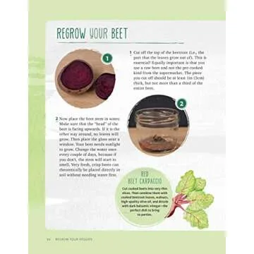 Regrow Your Veggies: Growing Vegetables from Roots, Cuttings, and Scraps (CompanionHouse Books) Sustainable Tips, Troubleshooting, & Directions for Lettuce, Potatoes, Ginger, Scallions, Mango, & More