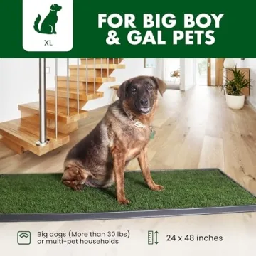 Fresh Patch Real Grass Patch for Indoor and Outdoor Pet Training