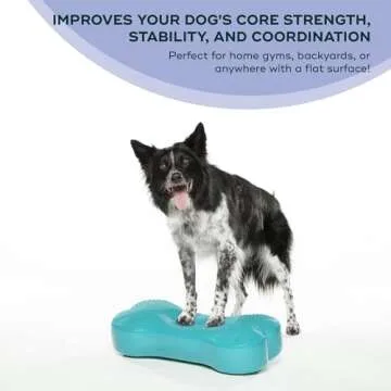 FitPAWS K9FITbone Regular Aqua - Dog Balance Trainer