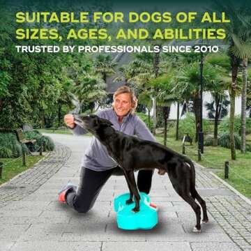 FitPAWS K9FITbone Regular Aqua - Dog Balance Trainer
