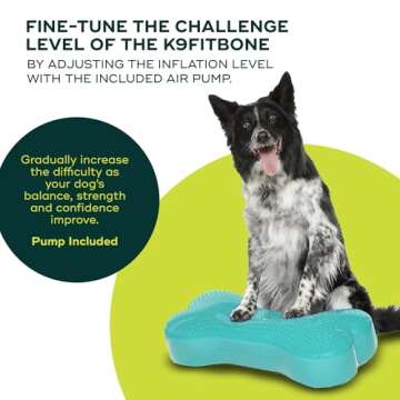 FitPAWS K9FITbone Regular Aqua - Dog Balance Trainer