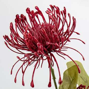 Hollyone 33" Red Artificial Mums Flowers Fall Chrysanthemum Flowers 2Pcs Spider Mum Flower Arrangement Faux Pincushion Flower Faux Flowers with 3 Heads Long Stem for Centerpiece Bouquet Home Decor