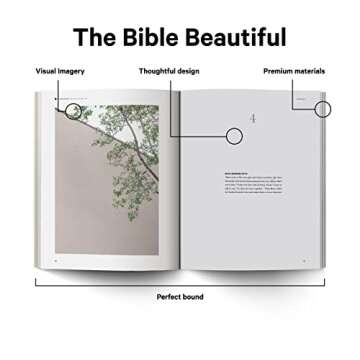 Book of Ruth - Alabaster Bible: A Visually Stunning Journey through Scripture