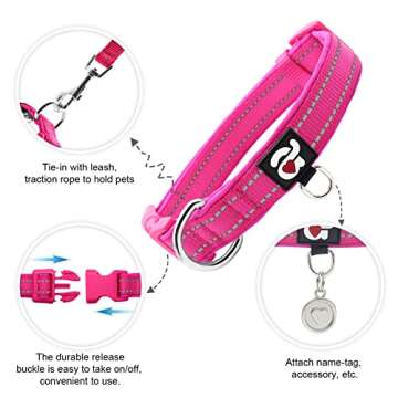azuza Reflective Dog Collar - Soft Neoprene Padded Pet Collar for Small Dogs, Adjustable and Stylish...