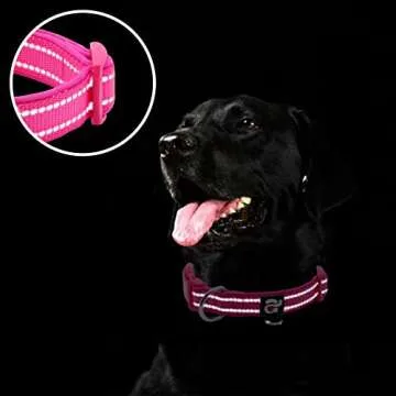 azuza Reflective Dog Collar for Small Dogs in Hot Pink