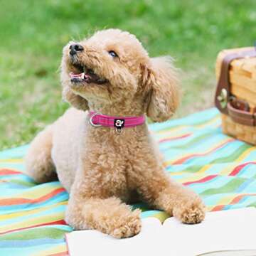 azuza Reflective Dog Collar for Small Dogs in Hot Pink