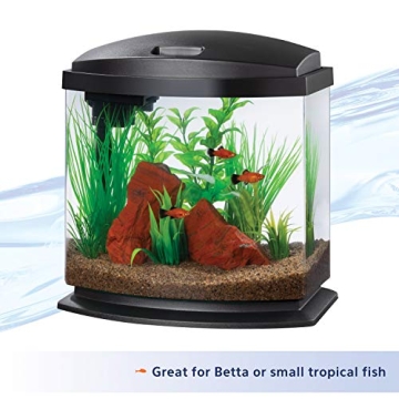 Aqueon MiniBow Aquarium with SmartClean Technology