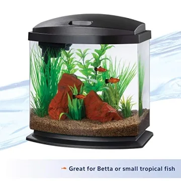 Aqueon MiniBow Aquarium with SmartClean Technology