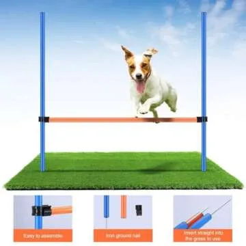 PAWISE Dog Agility Training Equipment for All Breeds