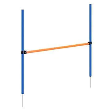 PAWISE Dog Agility Training Equipment for All Breeds