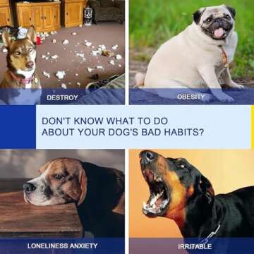 PAWISE Dog Agility Training Equipment for All Breeds