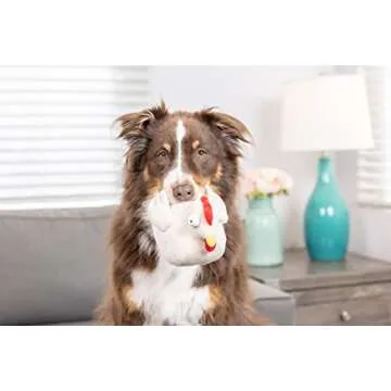 Durable 2 in 1 Chew Toy for Aggressive Chewers