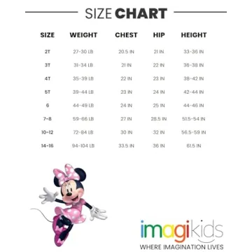 Disney Minnie Mouse Girls Fleece Sweatshirt Skirt Set Pink