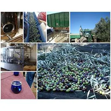 Oro Bailen Hojiblanca Quality Extra Virgin Olive Oil