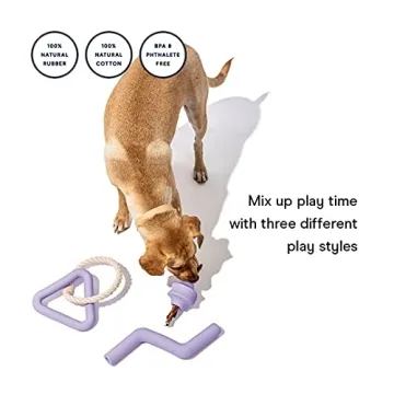 Durable Wild One Dog Toy Kit for All Breeds Under $50