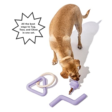 Durable Wild One Dog Toy Kit for All Breeds Under $50