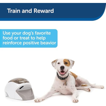 Treat&Train Remote Dog Training System