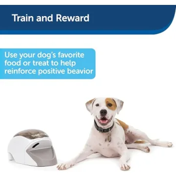Treat&Train Remote Dog Training System
