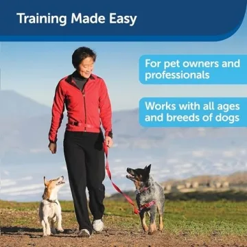 Treat&Train Remote Dog Training System