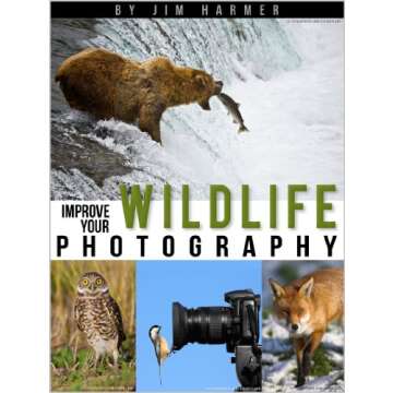 Improve Your Wildlife Photography (Improve Your Photography Book 3)