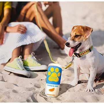 Bark Bros - Hound Noon Plush Squeaky Dog Toys