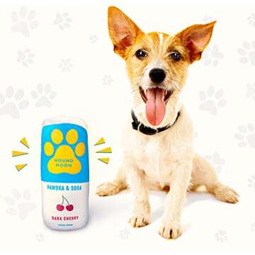 Bark Bros - Hound Noon Plush Squeaky Dog Toys