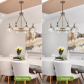 ZILANL Modern 8-Light Chandelier for Kitchen and Living Room