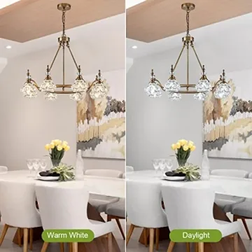 ZILANL Modern 8-Light Chandelier for Kitchen and Living Room