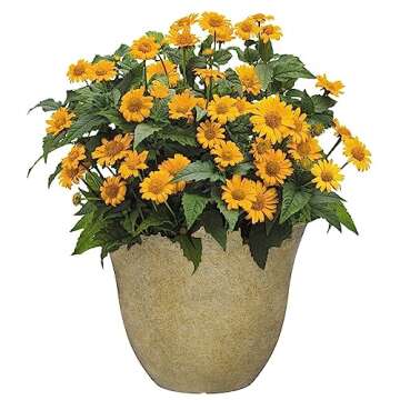 Classic Home and Garden Honeysuckle Planter, Patio Pot, 13" Fossil Stone (One Pack)