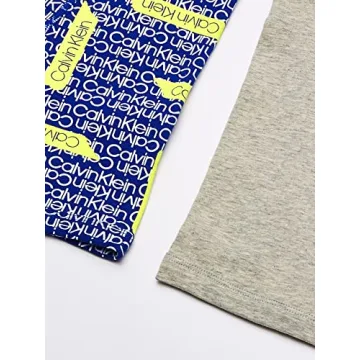 Calvin Klein Boys Modern Cotton Boxer Briefs Pack of 2