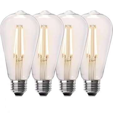 Feit Electric 60-Watt Equivalent ST19 Dimmable Straight Filament Clear Glass E26 Vintage Edison LED ...
