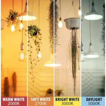 Feit Electric Vintage Edison LED Bulb 4-Pack - Soft White