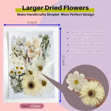 ZQmino Dried Pressed Flowers for Creative DIY Projects