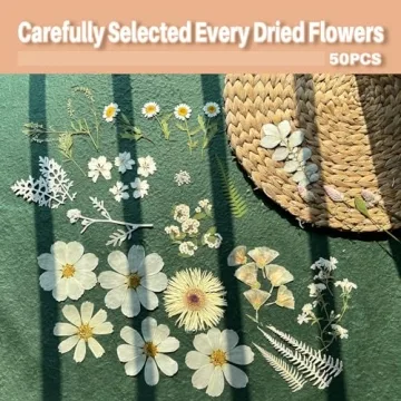 ZQmino Dried Pressed Flowers for Creative DIY Projects