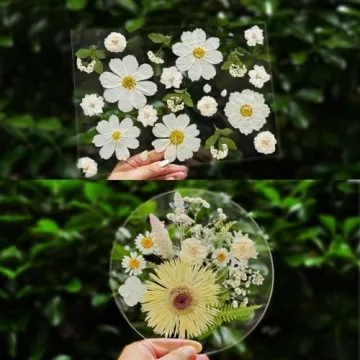 ZQmino Dried Pressed Flowers for Creative DIY Projects