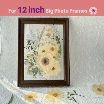 ZQmino Dried Pressed Flowers for Creative DIY Projects