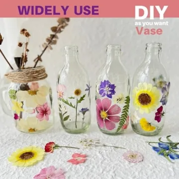 ZQmino Dried Pressed Flowers for Creative DIY Projects