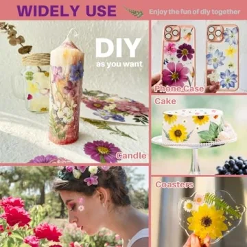 ZQmino Dried Pressed Flowers for Creative DIY Projects