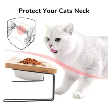 FUKUMARU Elevated Cat Ceramic Bowls Bamboo Stand