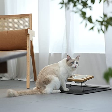 FUKUMARU Elevated Cat Ceramic Bowls Bamboo Stand