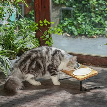 FUKUMARU Elevated Cat Ceramic Bowls Bamboo Stand