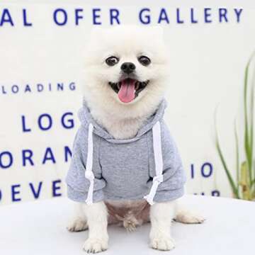 PETCARE Small Dog Sweater Hoodies Pet Grey Hooded Soft Fleece Sweatshirts with Pocket Fall Winter Pu...
