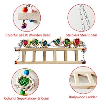 Vehomy Chicken Swing | Safe & Fun Toy for Chickens