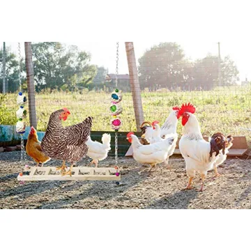 Vehomy Chicken Swing | Safe & Fun Toy for Chickens