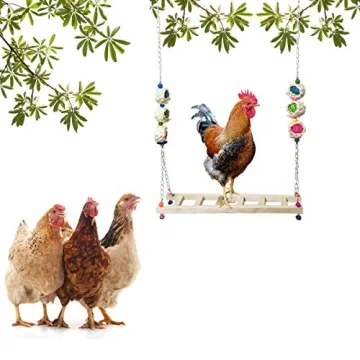 Vehomy Chicken Swing | Safe & Fun Toy for Chickens
