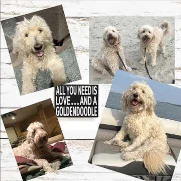 Goldendoodle Mom Gift - Heartfelt Wooden Sign