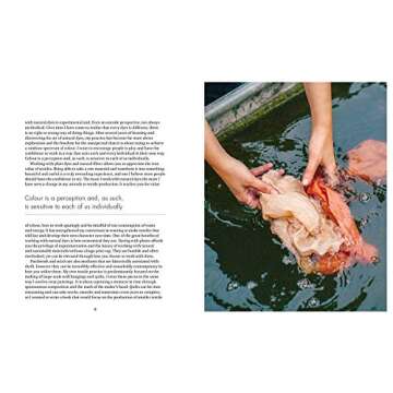 The Wild Dyer: A Maker's Guide to Natural Dyes with Projects to Create and Stitch